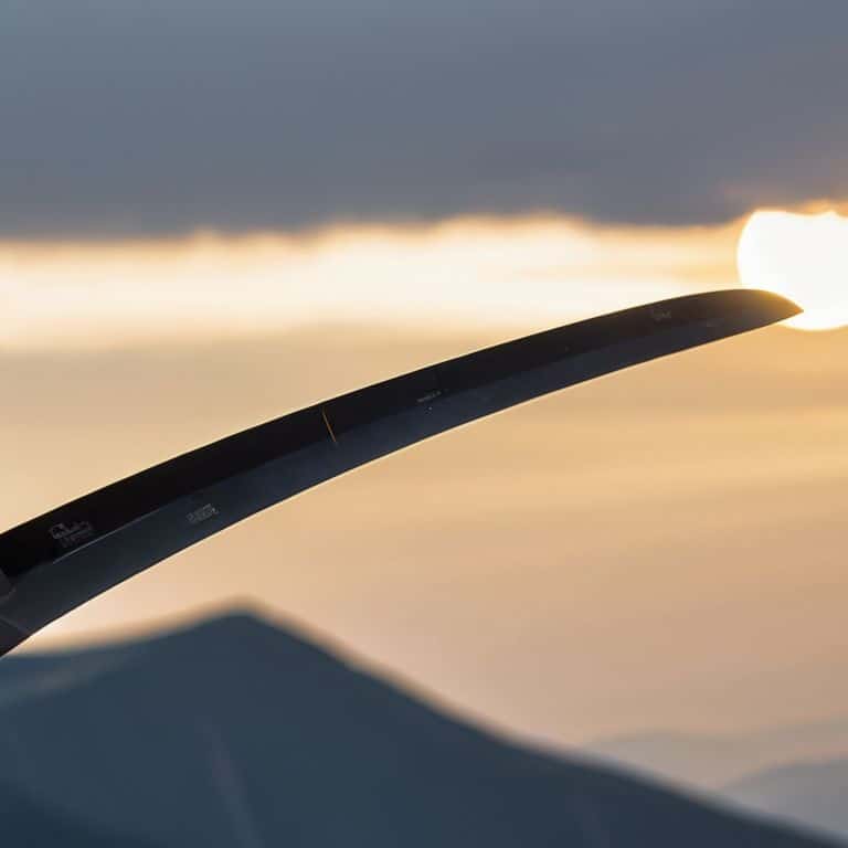 Mastering Helicopter Flight Dynamics