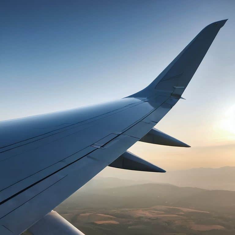 Sustainable flight strategies