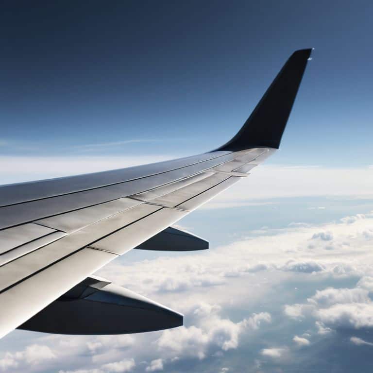 The Heart of Flight logo