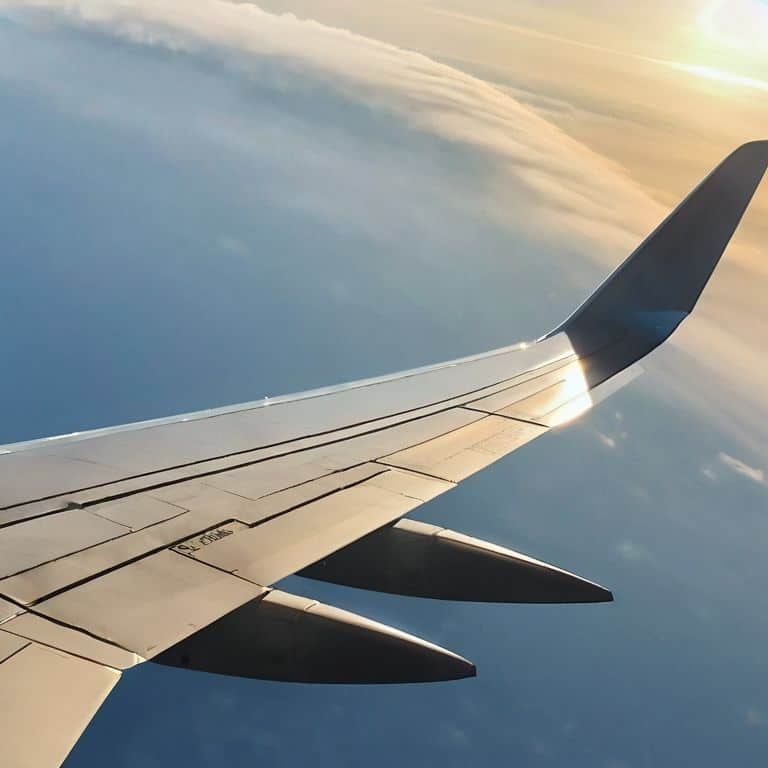 Sustainable Skies Potential Unlocked